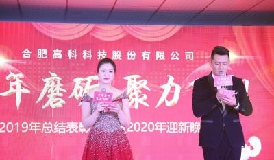 十年磨礪，聚力飛翔——合肥高科2020年會(huì)特別報(bào)道